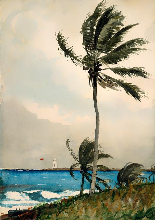 Winslow Homer Painting - Palm Trees - Nassau by Mountain Dreams