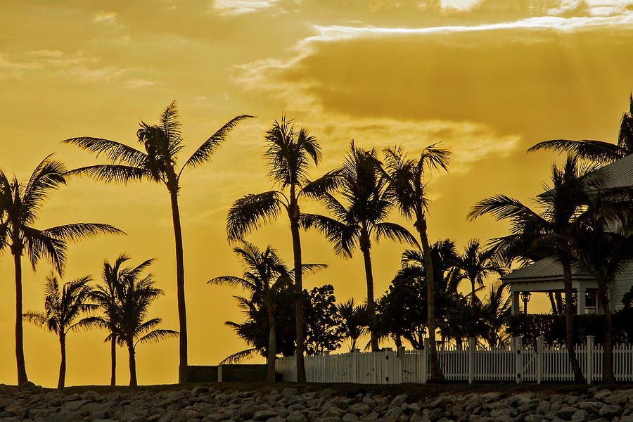 Sunset Photograph - Palm Trees on Sunset Key at Sunset by Bob Slitzan