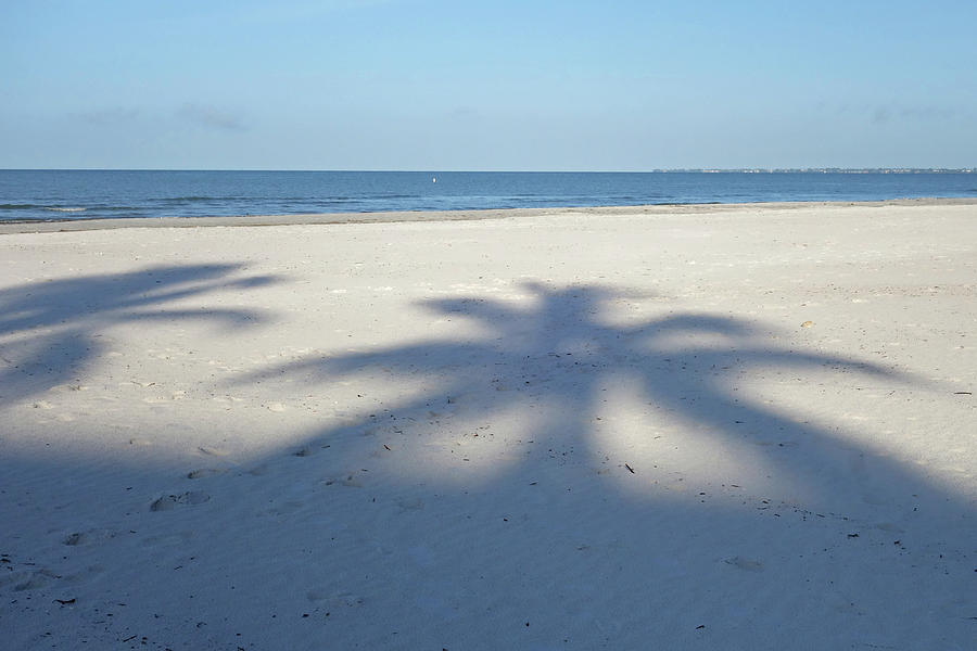 Palm Trees over Fort Myers Beach Fort Myers Florida Photograph by Toby McGuire