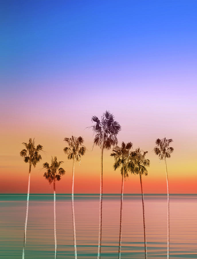 Palm Trees Sunset Digital Art