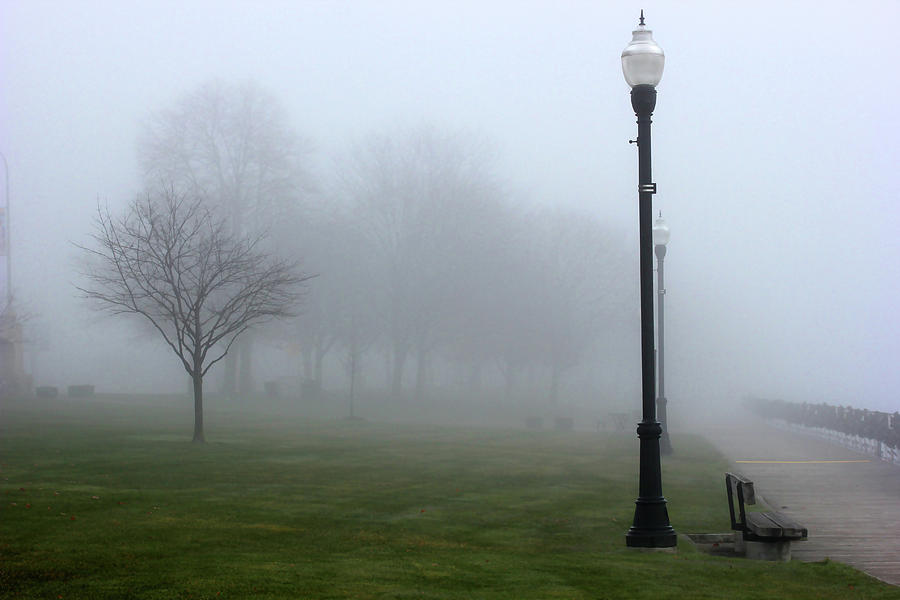 Palmer Park in Fog Photograph by Mary Bedy