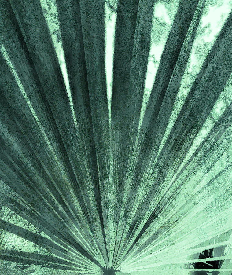 Palmetto Abastract No. 4 Photograph by Marvin Spates