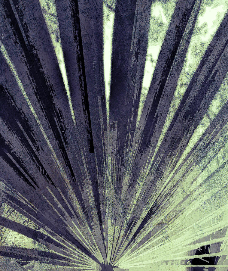 Nature Photograph - Palmetto Abstract No. 5 by Marvin Spates