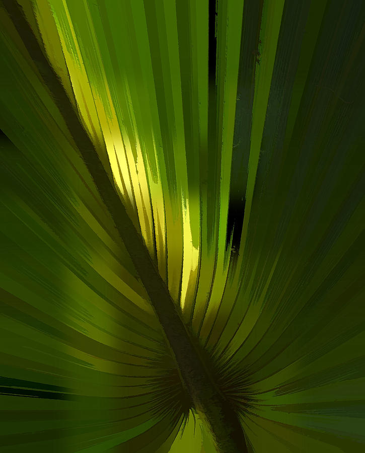 Palmetto Embrace Photograph by Marvin Spates