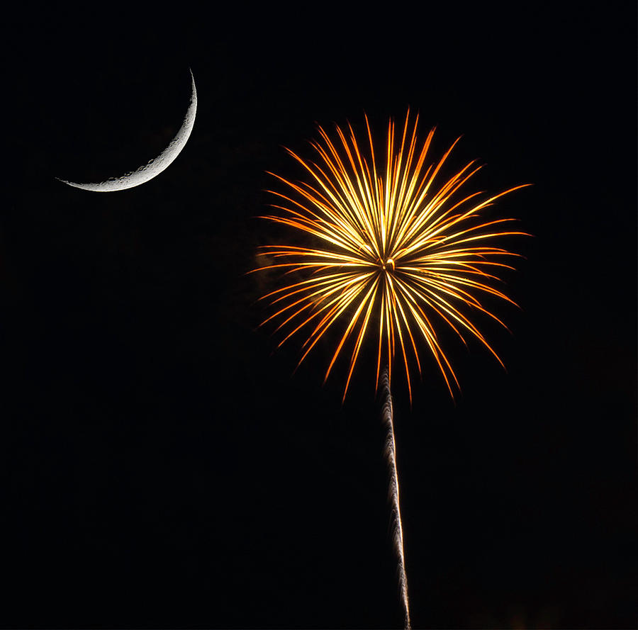 Palmetto Fireworks 2 Photograph by David Palmer