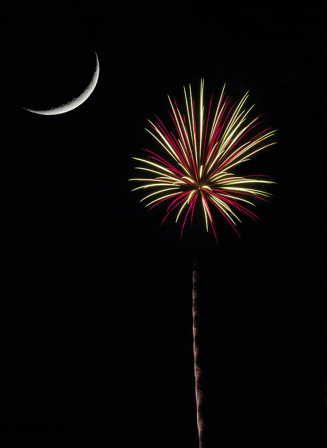 Palmetto Fireworks Photograph by David Palmer