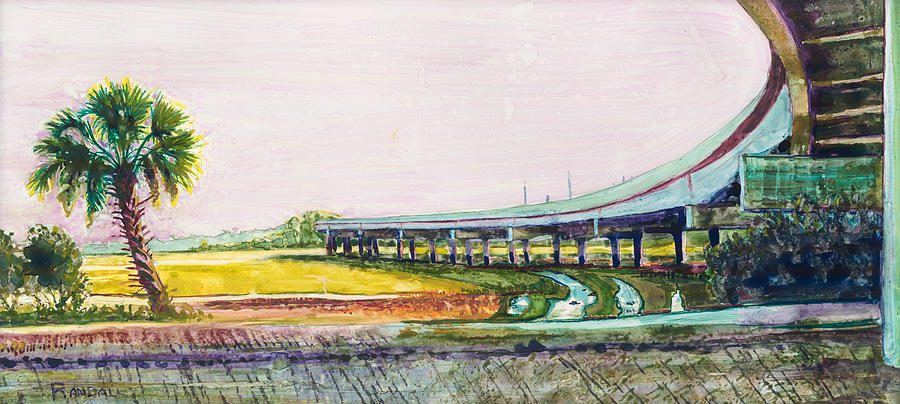 Palmetto Flyover Painting