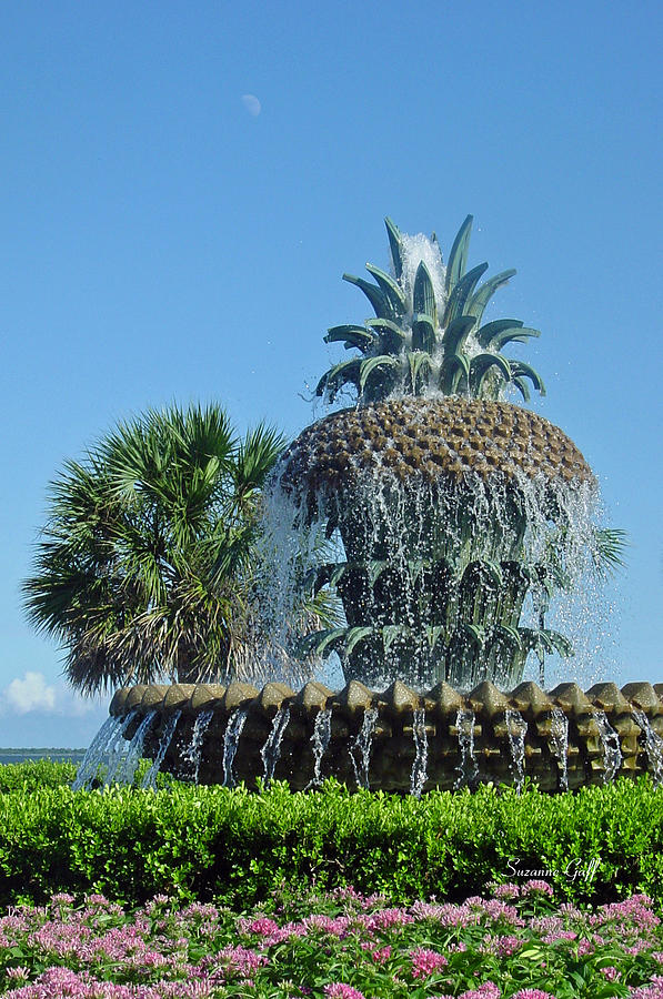 Pineapple Photograph - Palmetto Fountain by Suzanne Gaff