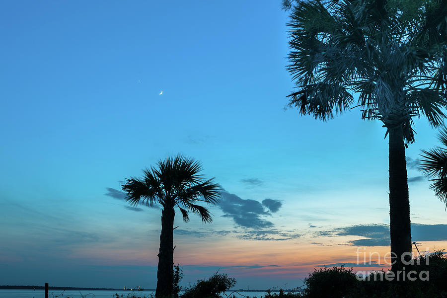 Palmetto Moon Sunset over Sullivans Island South Carolina  Photograph by Dale Powell