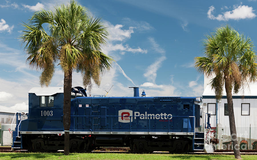 Palmetto Railways Photograph by Dale Powell