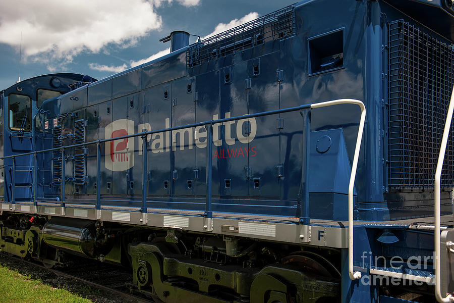 Palmetto Train And Sky Photograph