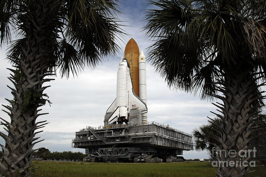 Tree Photograph - Palmetto Trees Frame Space Shuttle by Stocktrek Images