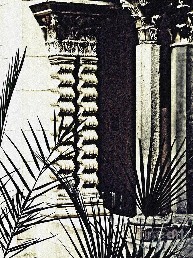 Palms and Columns Photograph by Sarah Loft
