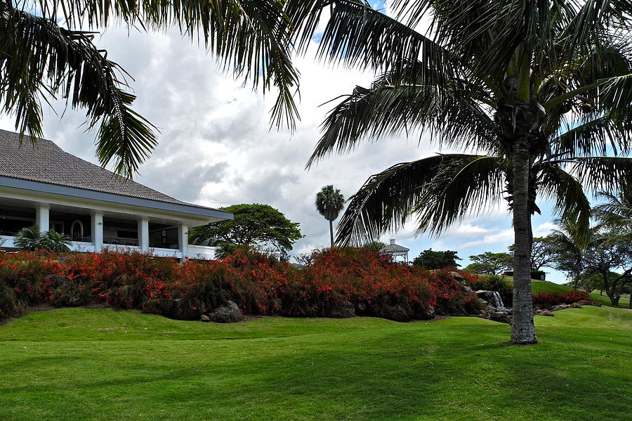 Palms and Kahili Golf Course Clubhouse  Photograph by Kirsten Giving