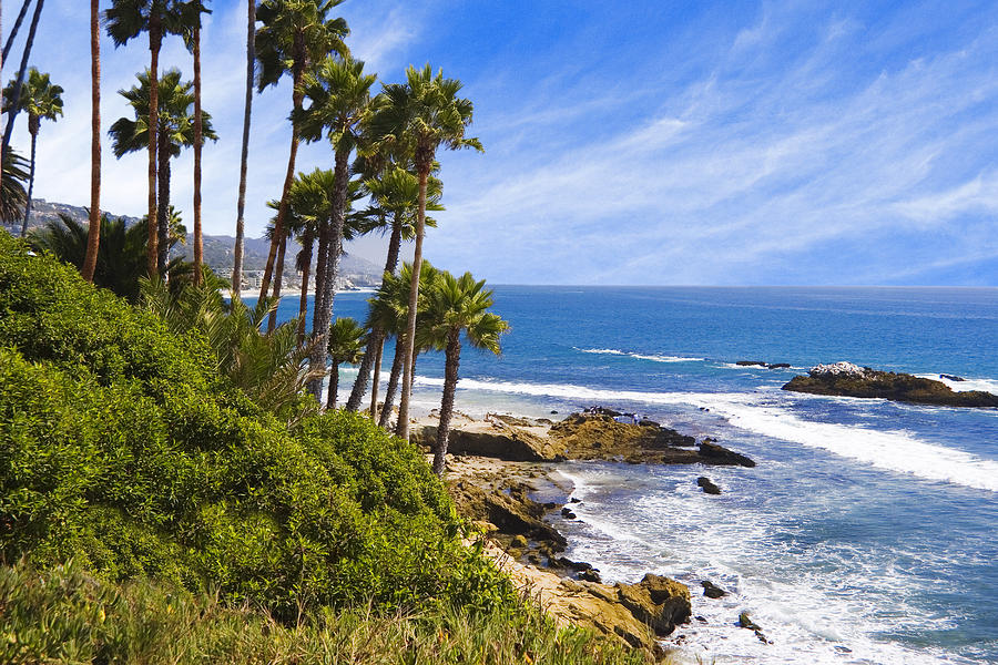 Palms and Seashore Laguna Beach California Coast Photograph by Douglas Pulsipher