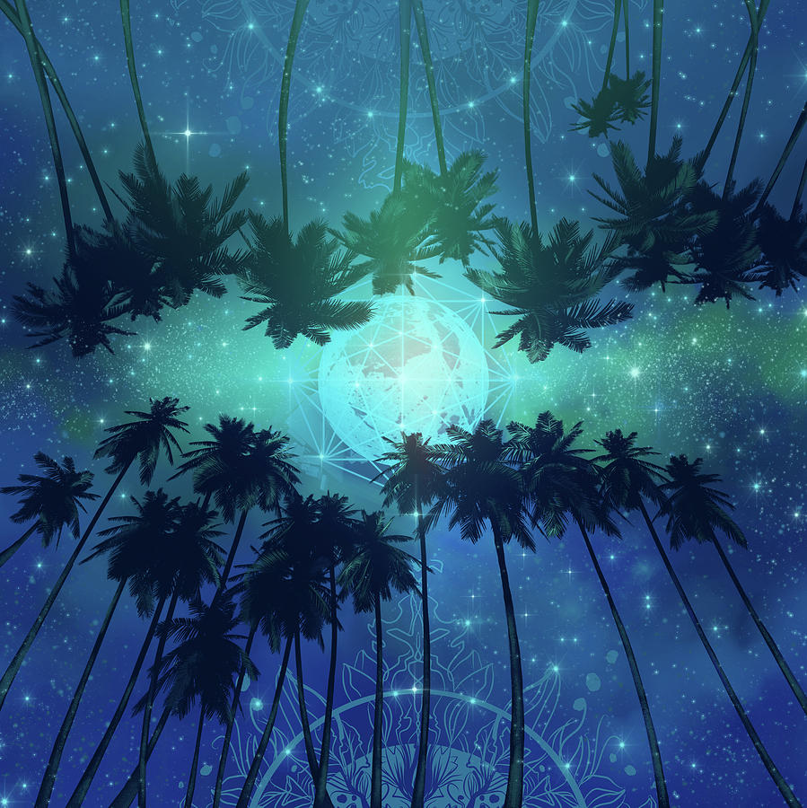 Palms And Stars Digital Art