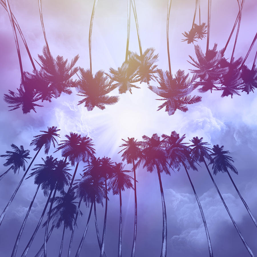 Palms And Sunset 2 Digital Art