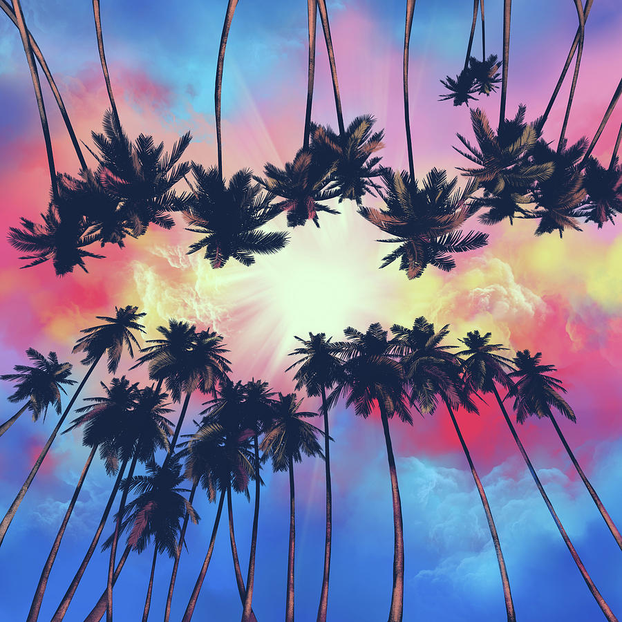 Summer Digital Art - Palms And Sunset by Bekim M
