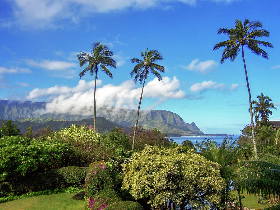 Palms at Hanalei Photograph by James Eddy
