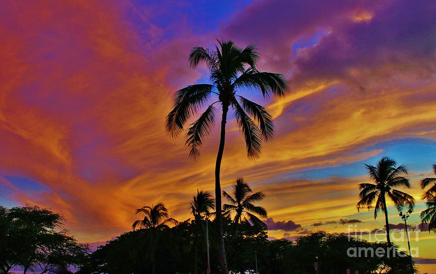 Palms at Sunset Photograph by Craig Wood