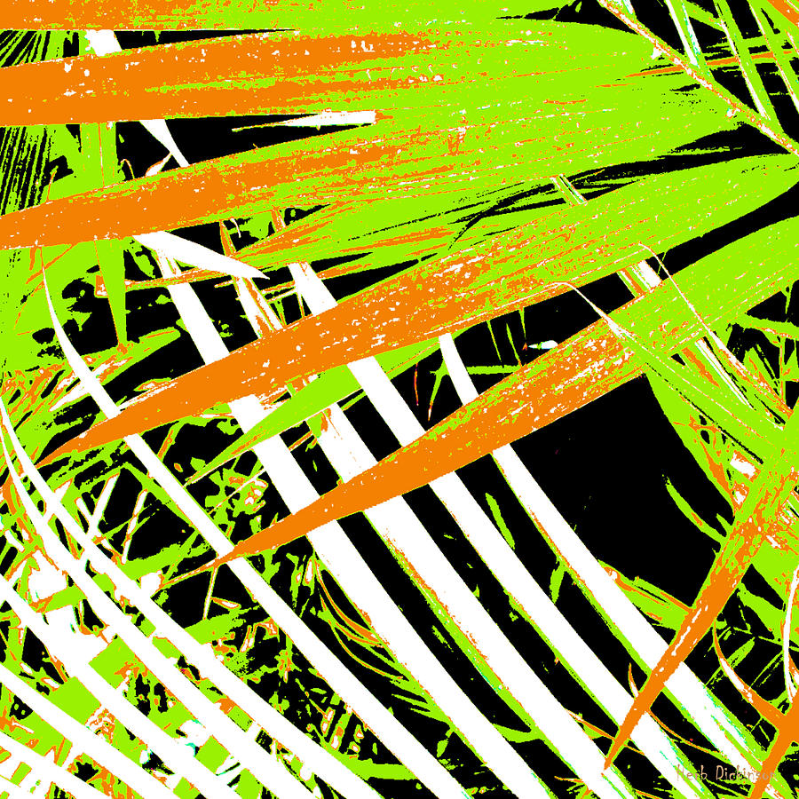 Palms Away II Photograph by Herb Dickinson