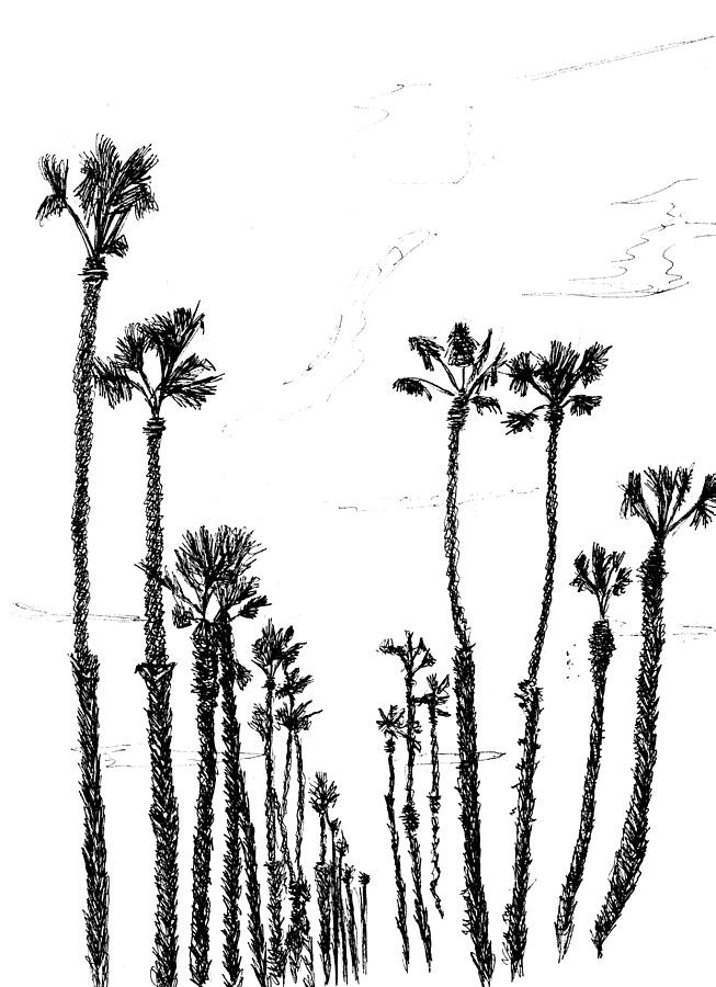 Palms Drawing by Ben Bohnsack