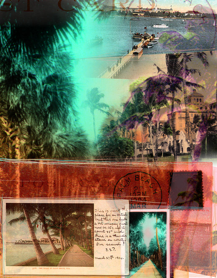 Landscape Photograph - Palms of Palm Beach by Deborah Hildinger