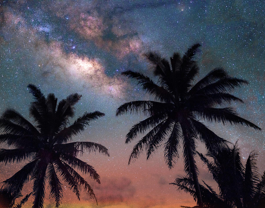 Palms of The Sky Photograph by Micah Roemmling