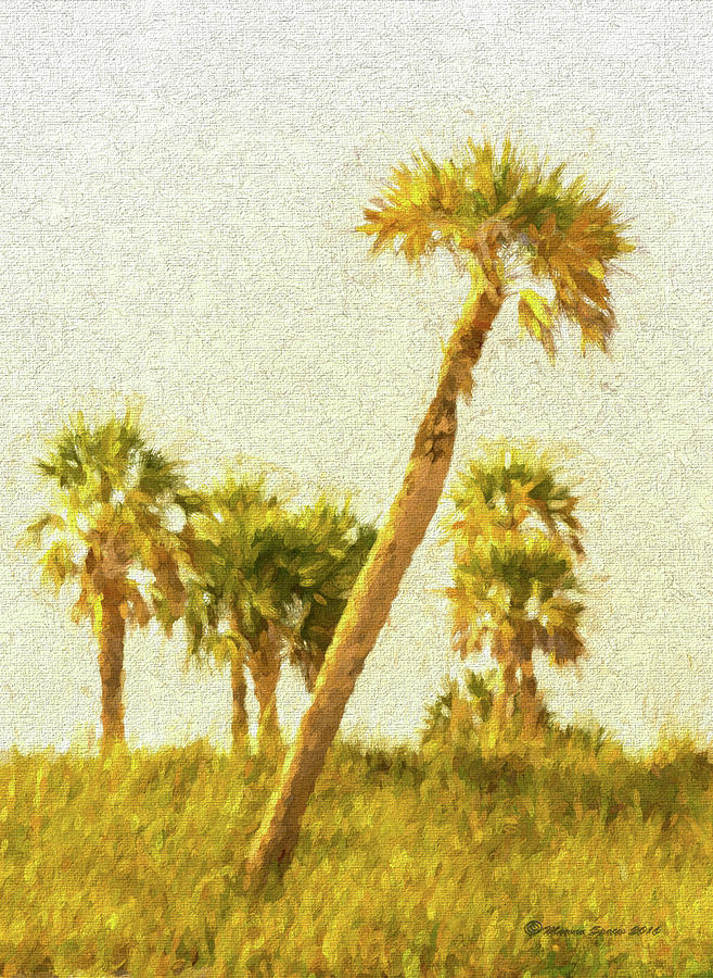 Summer Photograph - Palms On Canvas by Marvin Spates