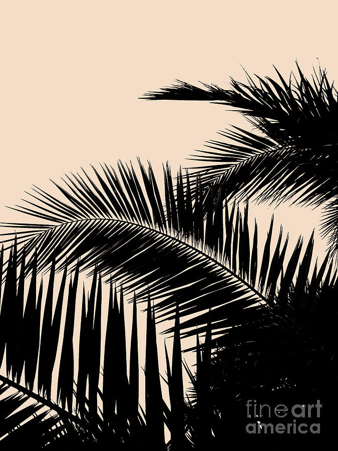 Palms on Pale Pink by EMANUELA CARRATONI Palms on Pale Pink by EMANUELA CARRATONI