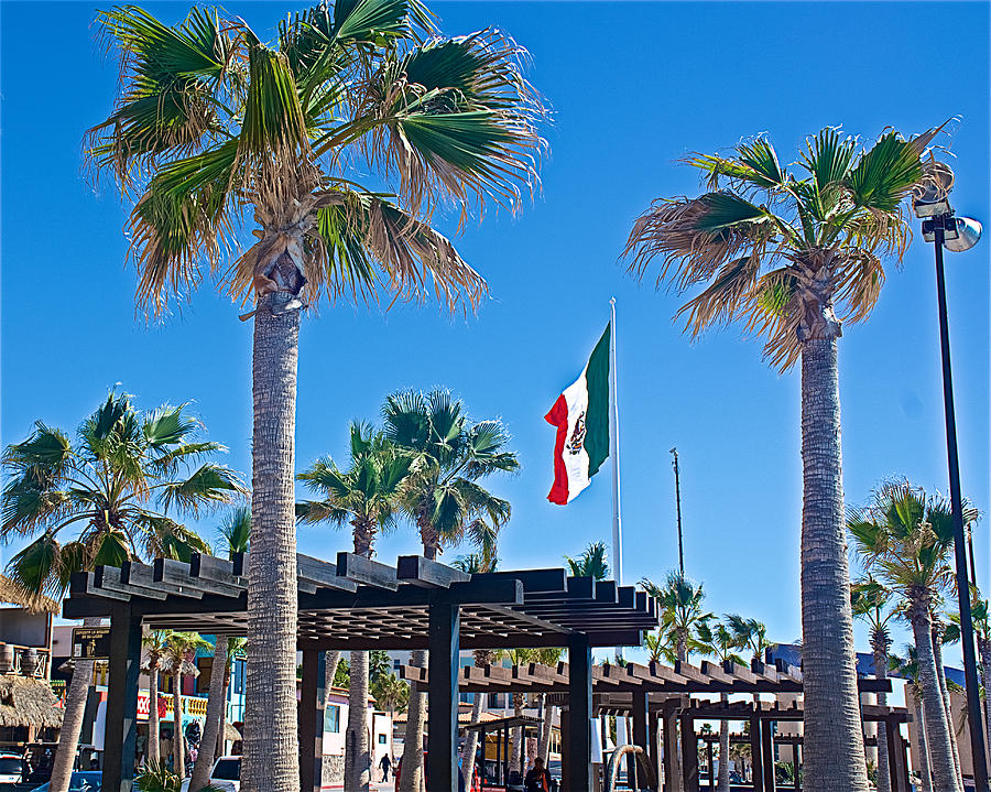 Palms Trees and Mexican Flag on the Malecon in Puerto Penasco in Sonora-Mexico Photograph by Ruth Hager