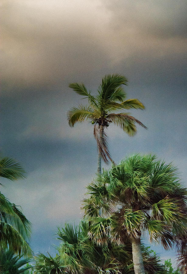 Stormy Skies in Florida Photograph by John Black