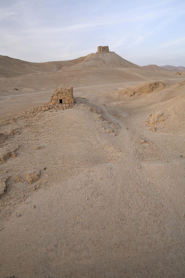 Desert Photograph - Palmyra desert by Marcus Best