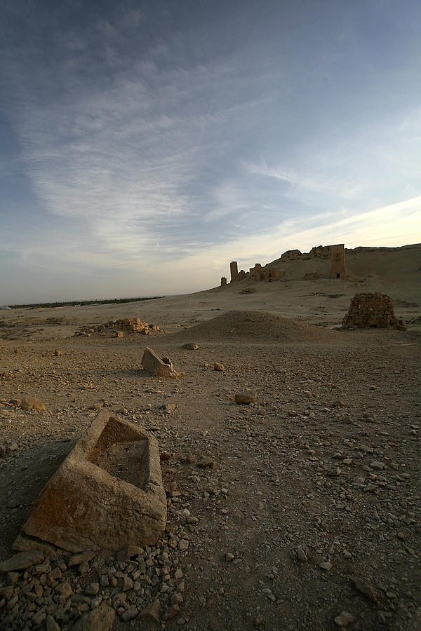 Palmyra sarcophagus Photograph by Marcus Best