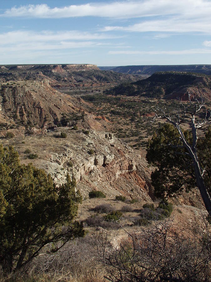 Palo Duro Canyon Afternoon Photograph by Bill Hyde