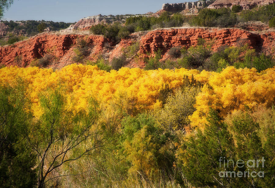 Palo Duro Canyon Fall Colors Photograph by Fred Lassmann