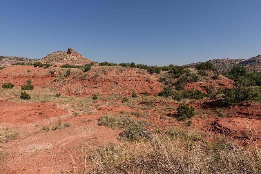 Palo Duro Canyon Floor Arroyo Photograph by JG Thompson - Fine Art America