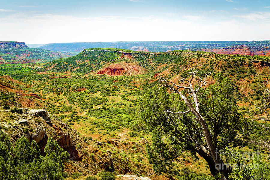 Palo Duro Canyon Photograph By Jon Burch Photography   Palo Duro Canyon Jon Burch Photography 