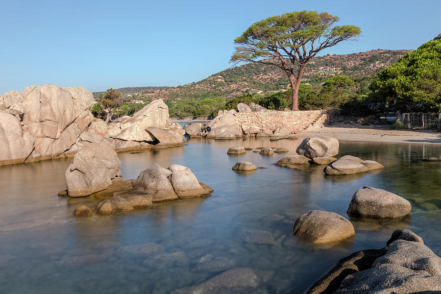 Palombaggia - Corsica Photograph by Joana Kruse