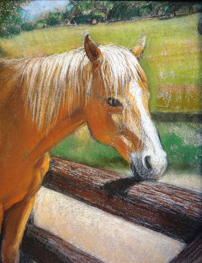 Palomino Horse Portrait Pastel by Sue Halstenberg