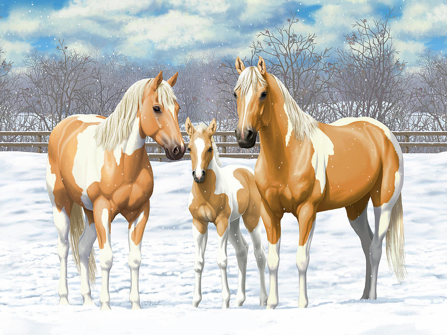 palomino paint horse our generation