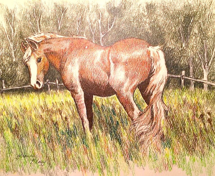 Palomino Pal O Mine by Yvonne Blasy Palomino Pal O Mine by Yvonne Blasy