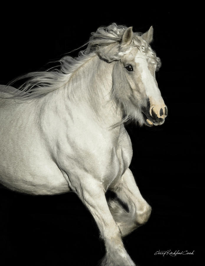 Palomino Portrait Photograph by Terry Kirkland Cook