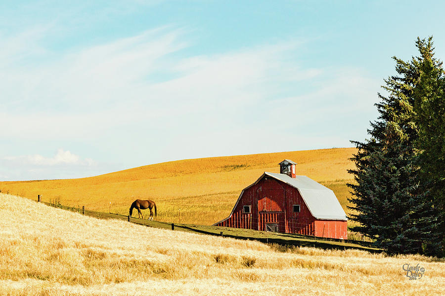 Palouse 16 Photograph by Claude Dalley