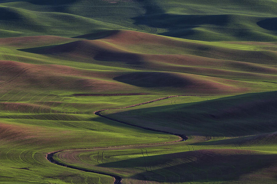 Palouse Abstract 1 Photograph by Mark Kiver