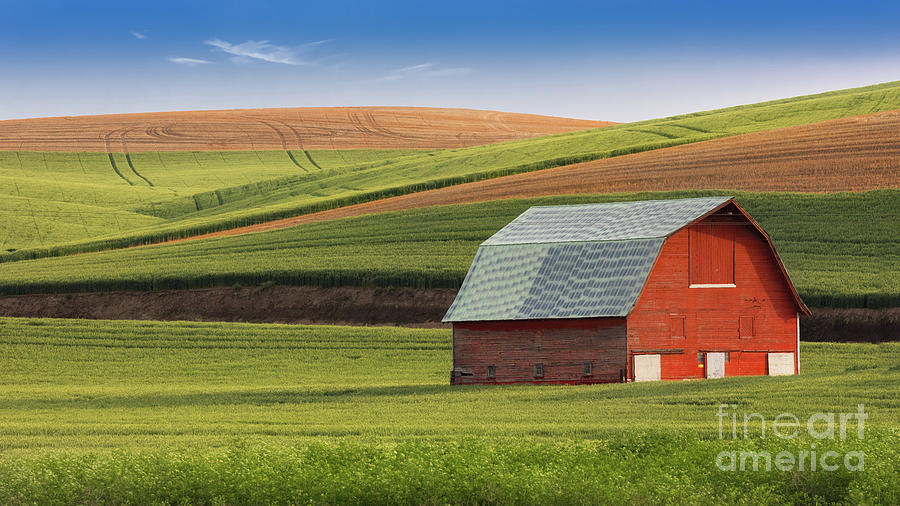 Palouse Barn and Fields Photograph by Jerry Fornarotto
