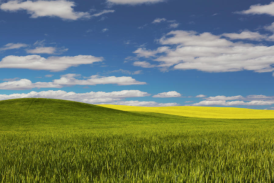 Palouse Color Photograph By Bob Faucher - Pixels