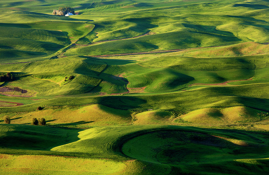 Palouse Contours Photograph by Michael Dawson - Fine Art America