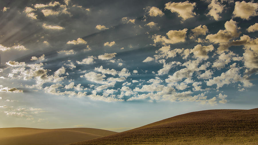 Palouse Daybreak Photograph by Don Schwartz