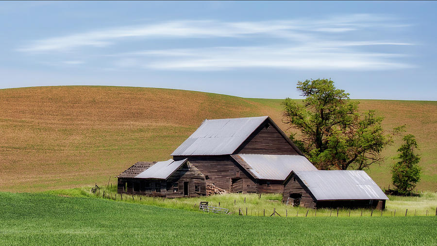 Palouse Decaying Barn Photograph by Jerry Fornarotto